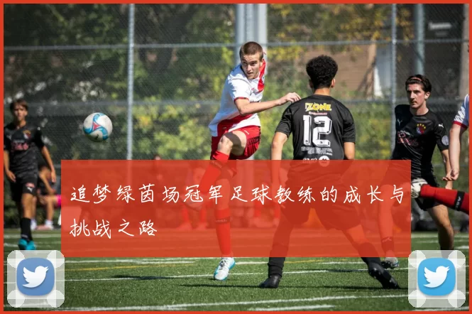 追梦绿茵场冠军足球教练的成长与挑战之路