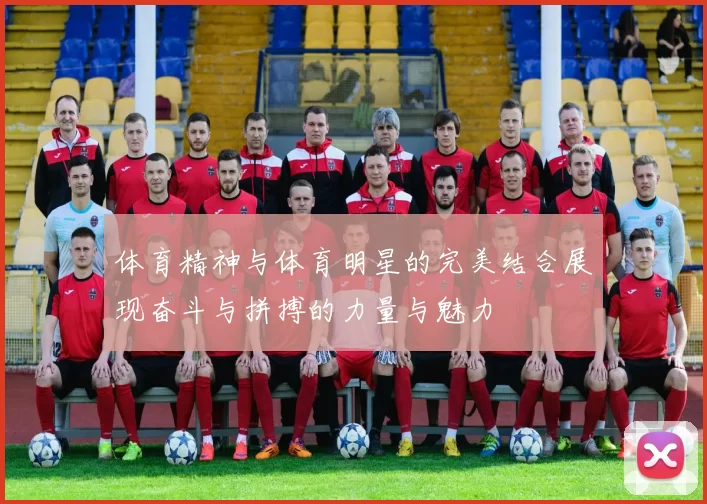 体育精神与体育明星的完美结合展现奋斗与拼搏的力量与魅力