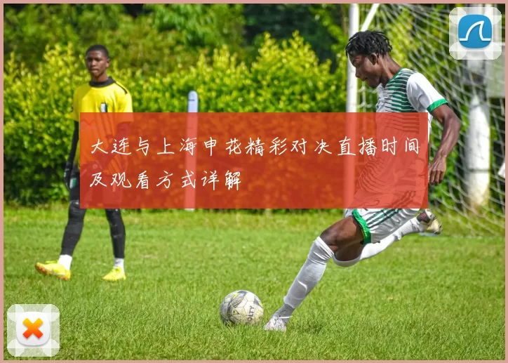 大连与上海申花精彩对决直播时间及观看方式详解