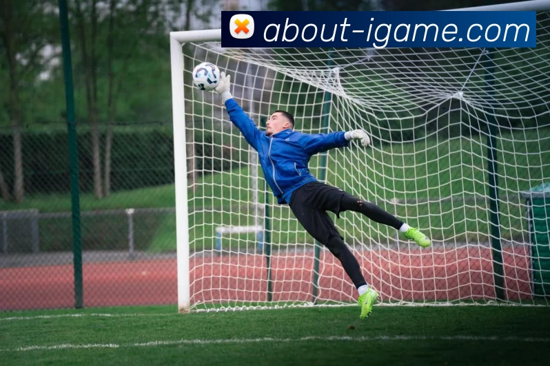 爱游戏APP 封面图